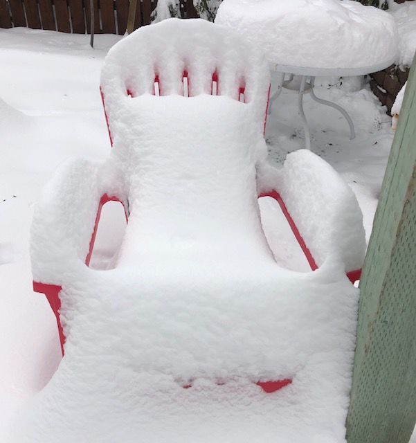 Snowy backyard